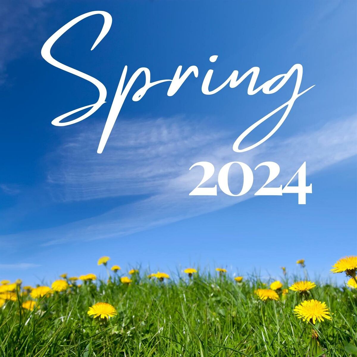 Album cover of Spring 2024