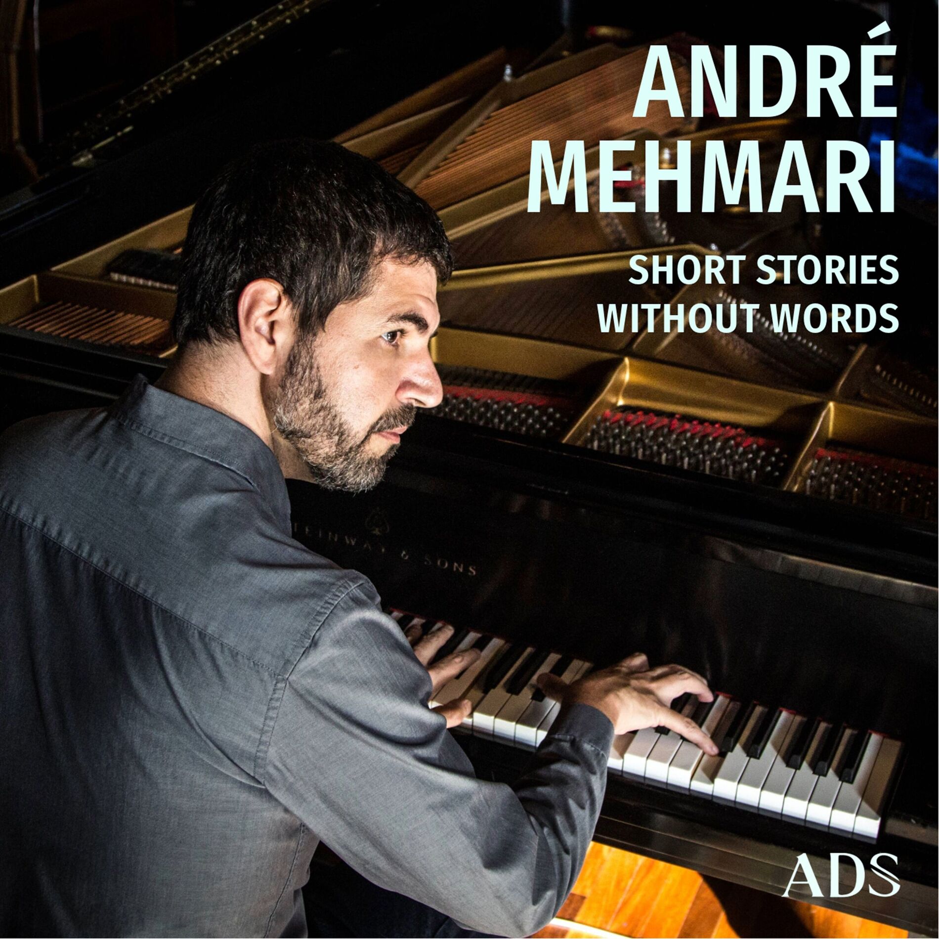 Album cover of Short Stories Without Words