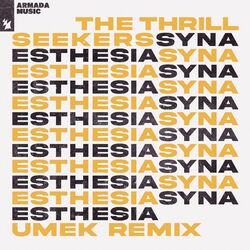 Cover of Synaesthesia (UMEK Remix)