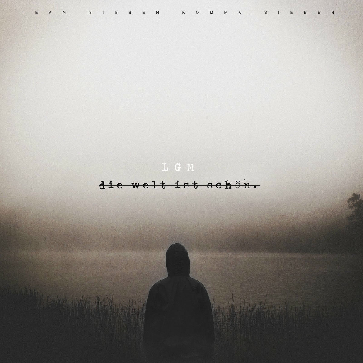 Album cover of Die Welt Ist Schön