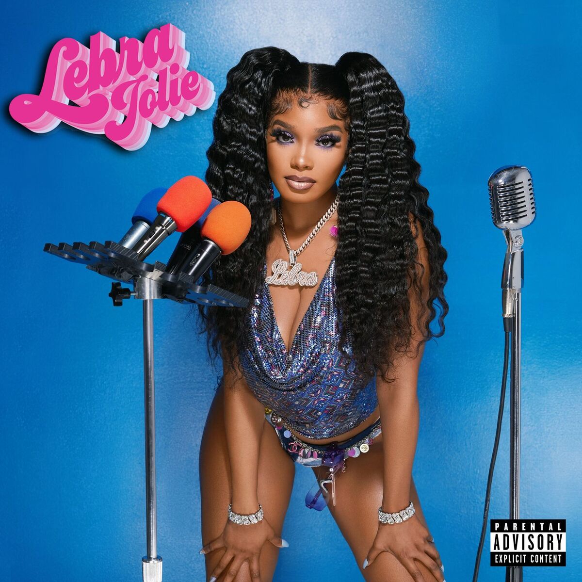 Album cover of Lebra Jolie