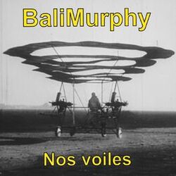 Cover of Nos voiles