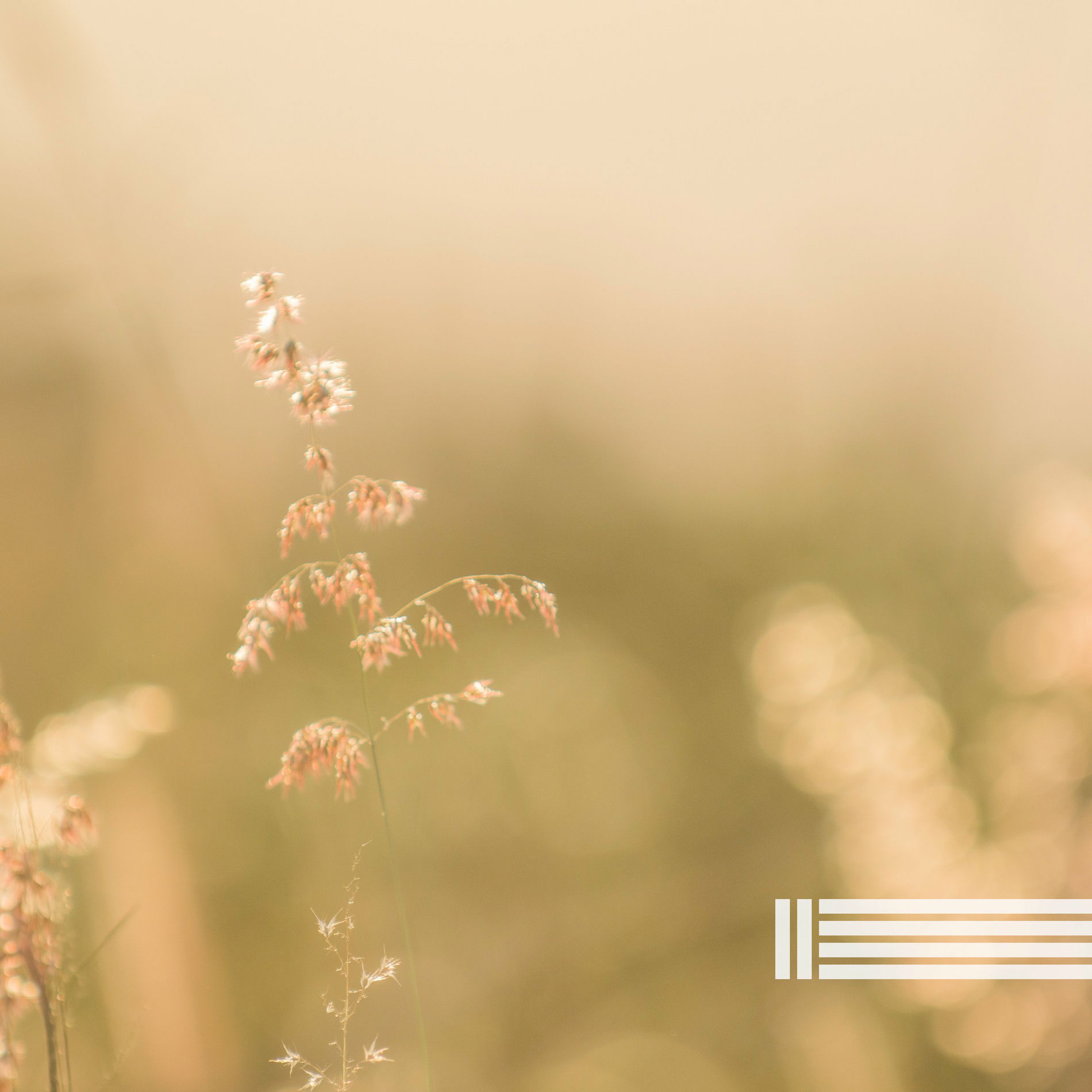 Album cover of Klänge Der Entspannung