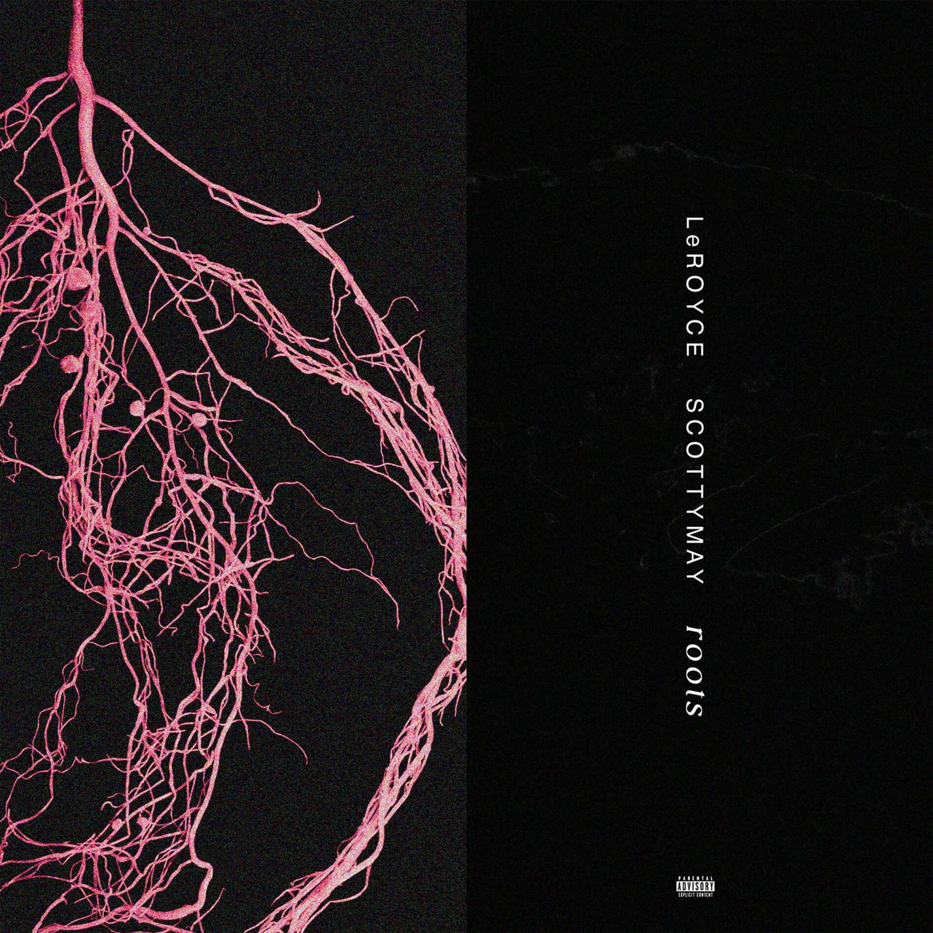 Album cover of Roots (feat. ScottyMay)