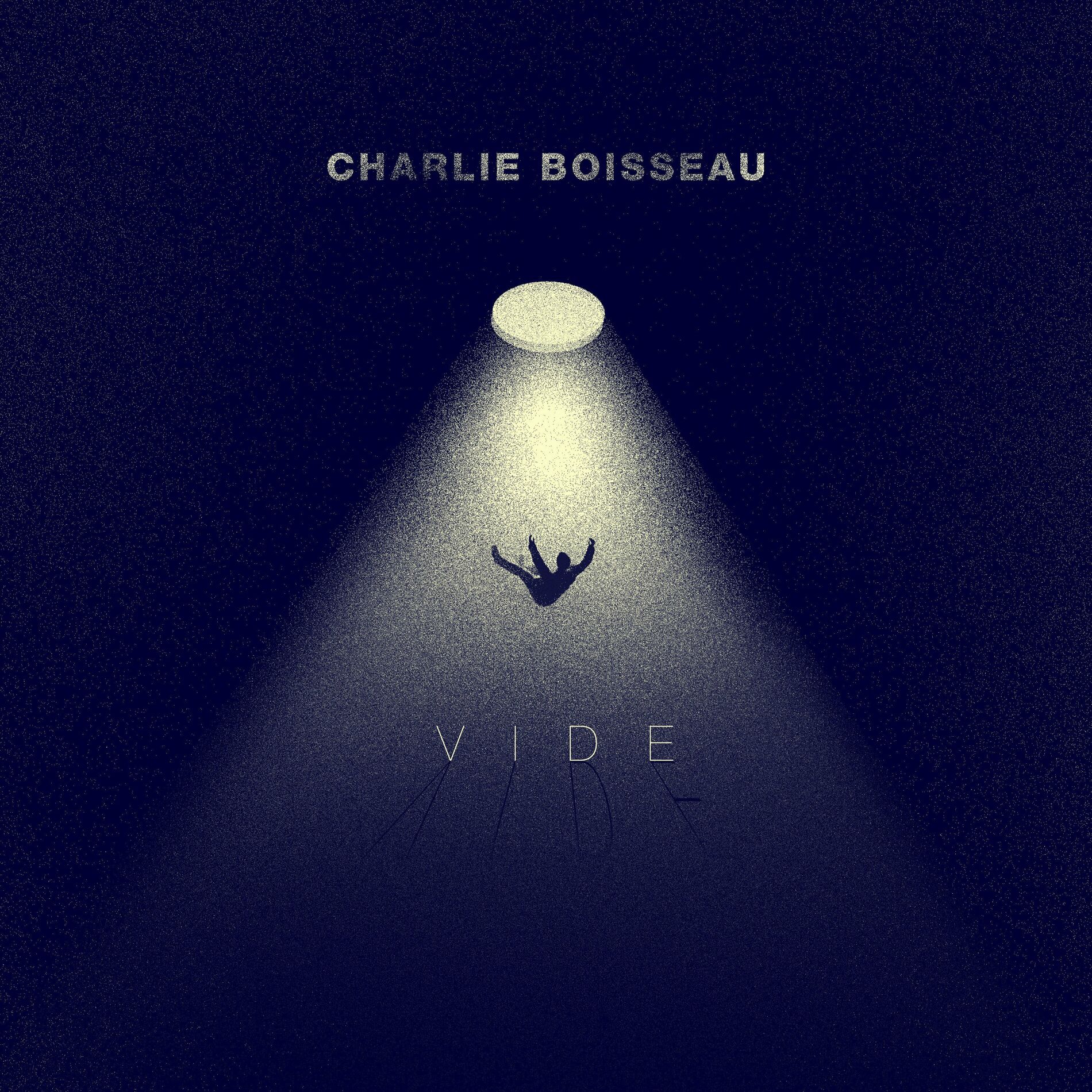 Album cover of Vide