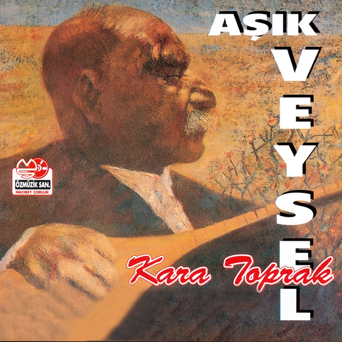 Album cover of Kara Toprak