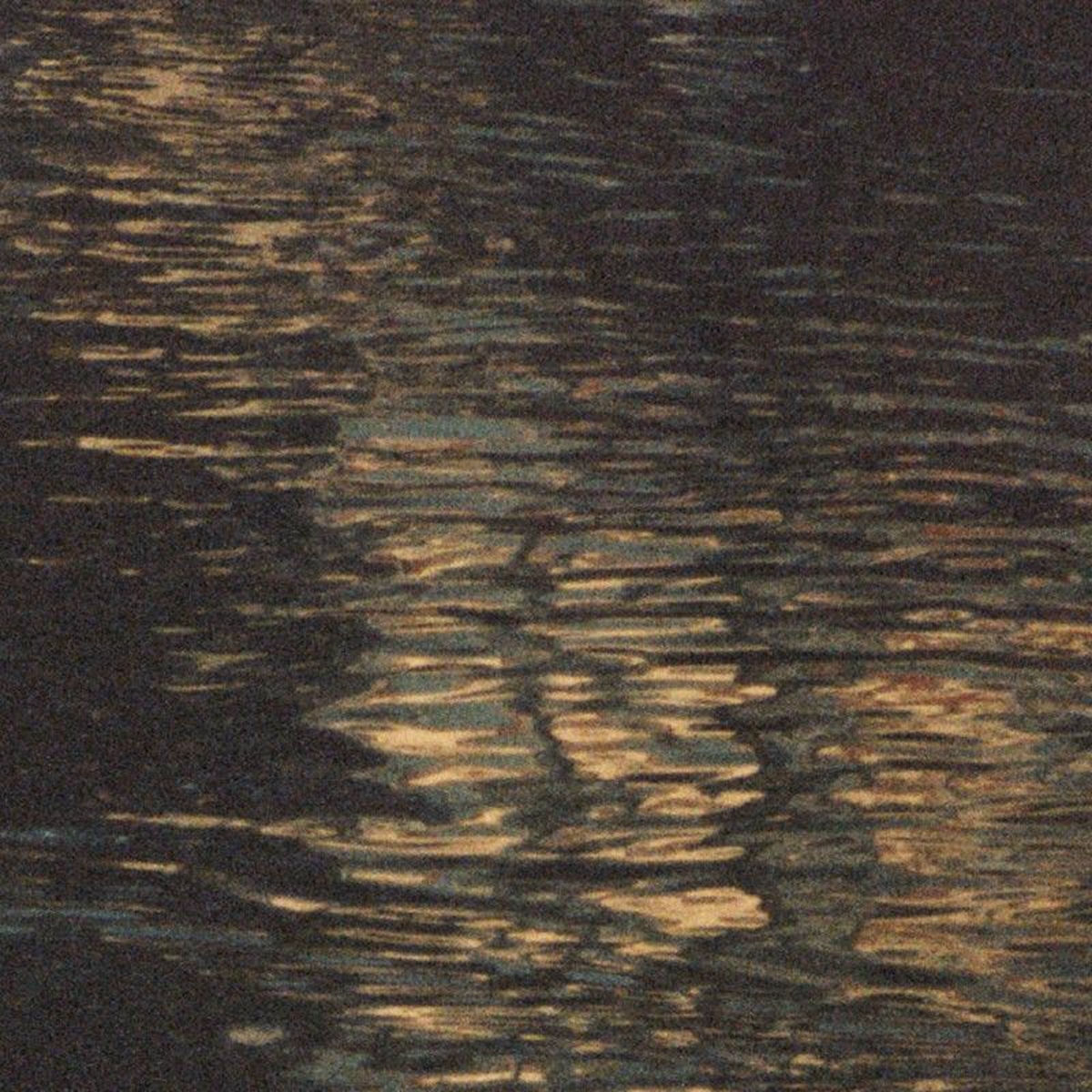 Album cover of Ripples (Live from Reykjavík)