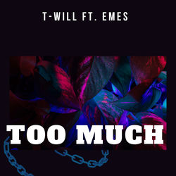 Too Much (feat. Emes)