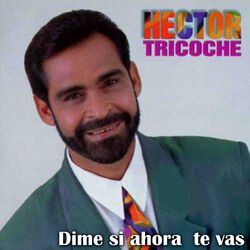 Cover of Dime Si Ahora Te Vas