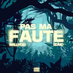 Cover of Pas ma faute
