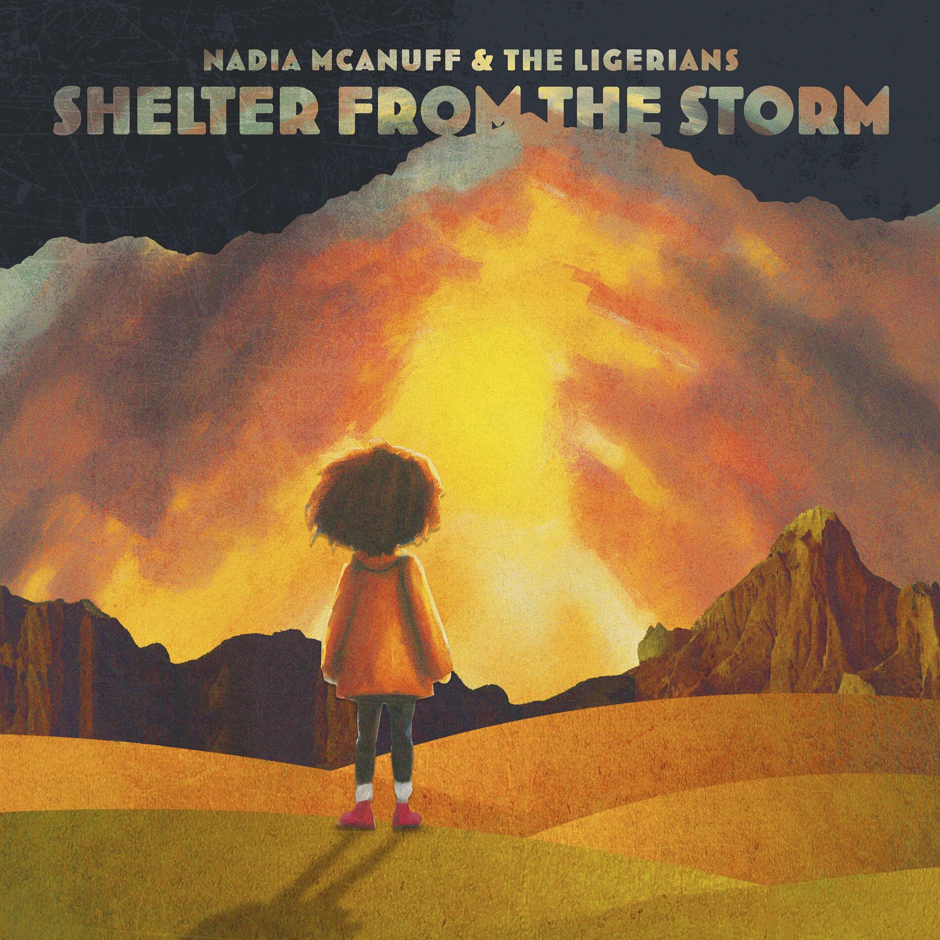 Album cover of Shelter