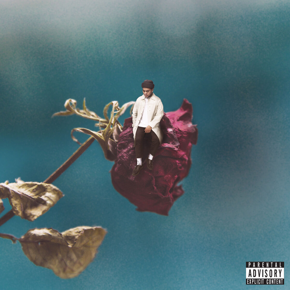 Album cover of She Loves Me Not