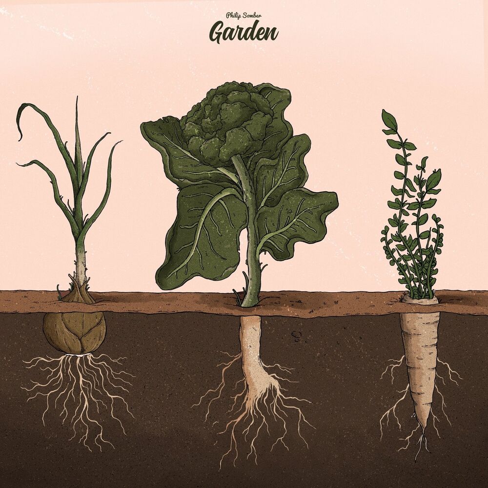Picture of Garden