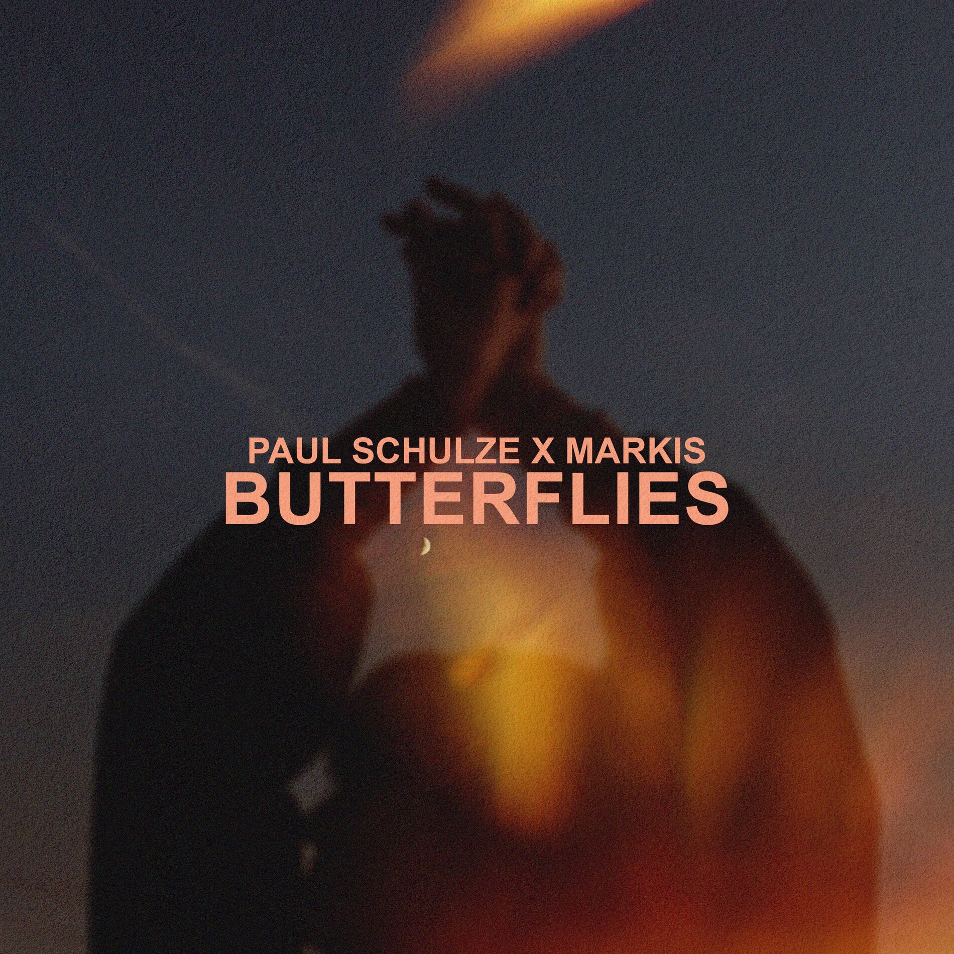 Album cover of Butterflies