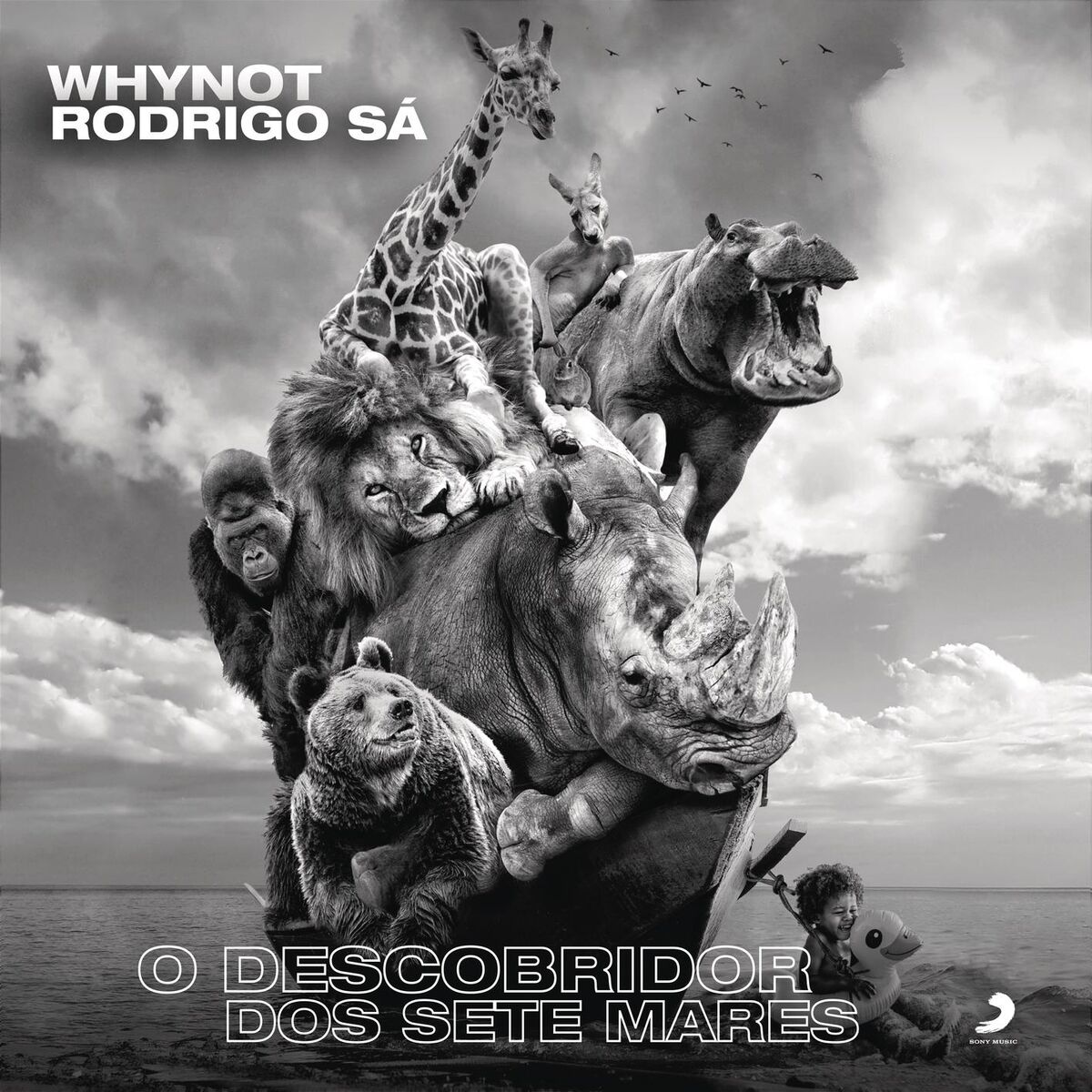 Album cover of O Descobridor dos Sete Mares