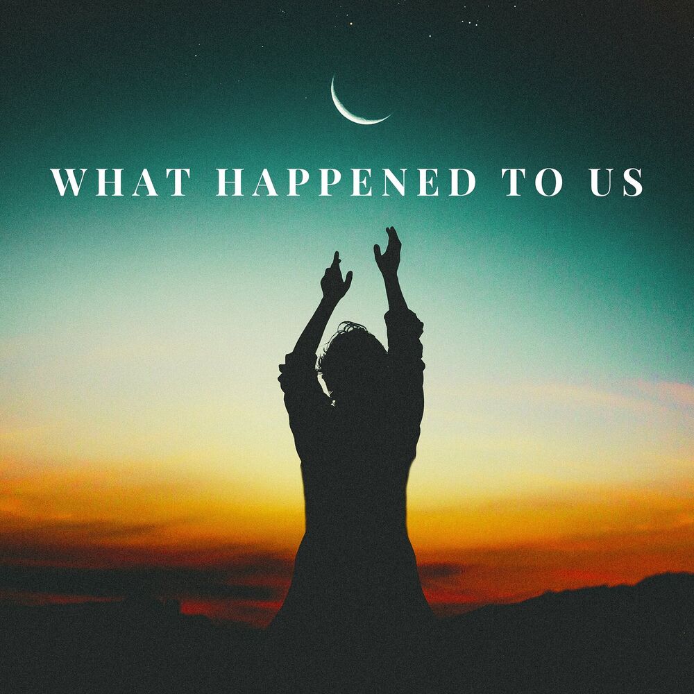 Picture of What Happened to Us