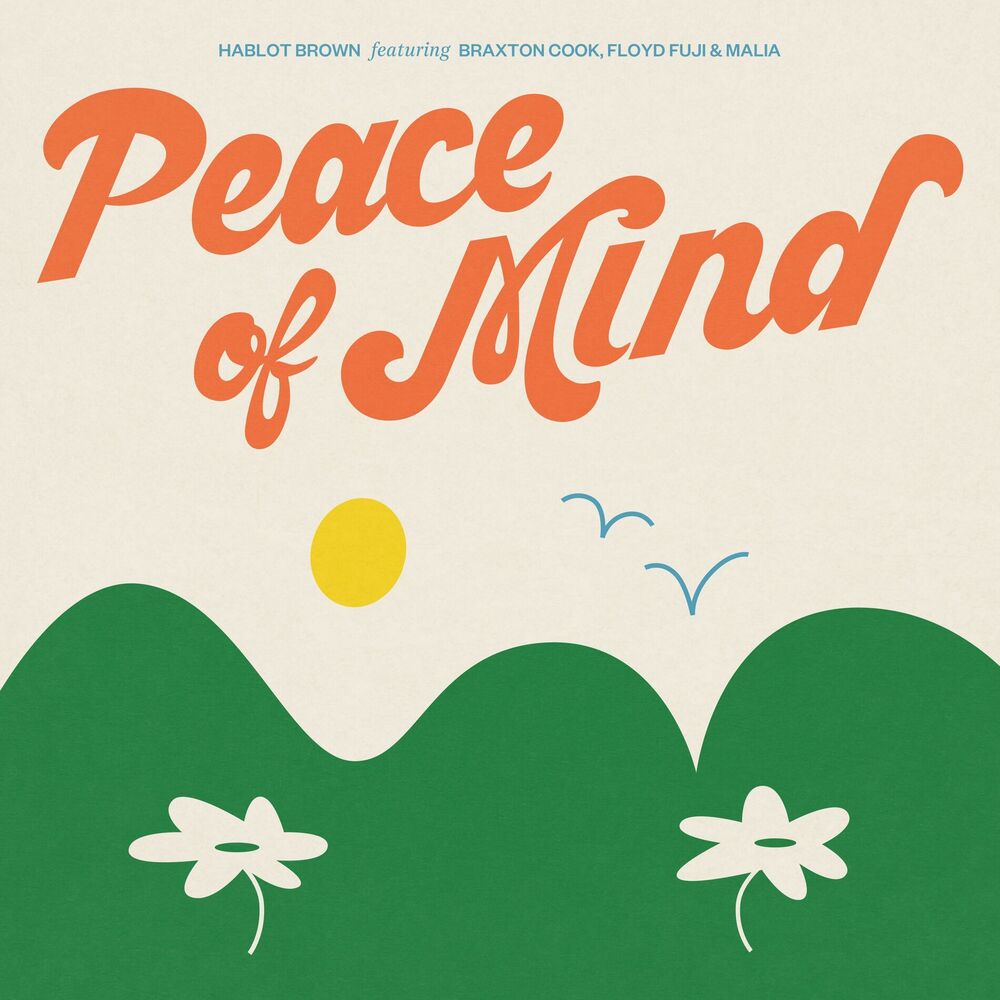 Picture of Peace Of Mind