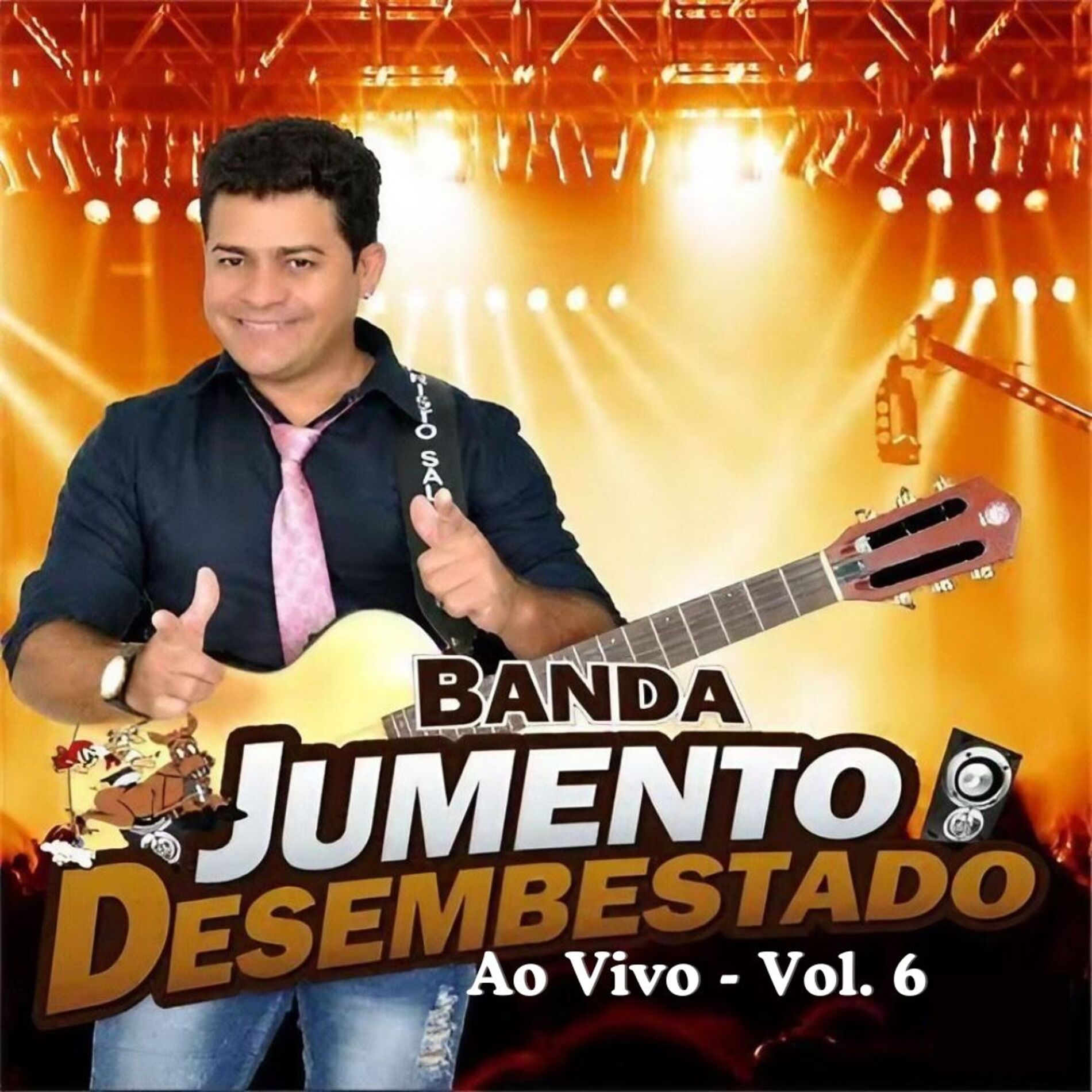 Album cover of Ao Vivo - Vol 6
