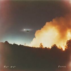 Cover of Fever