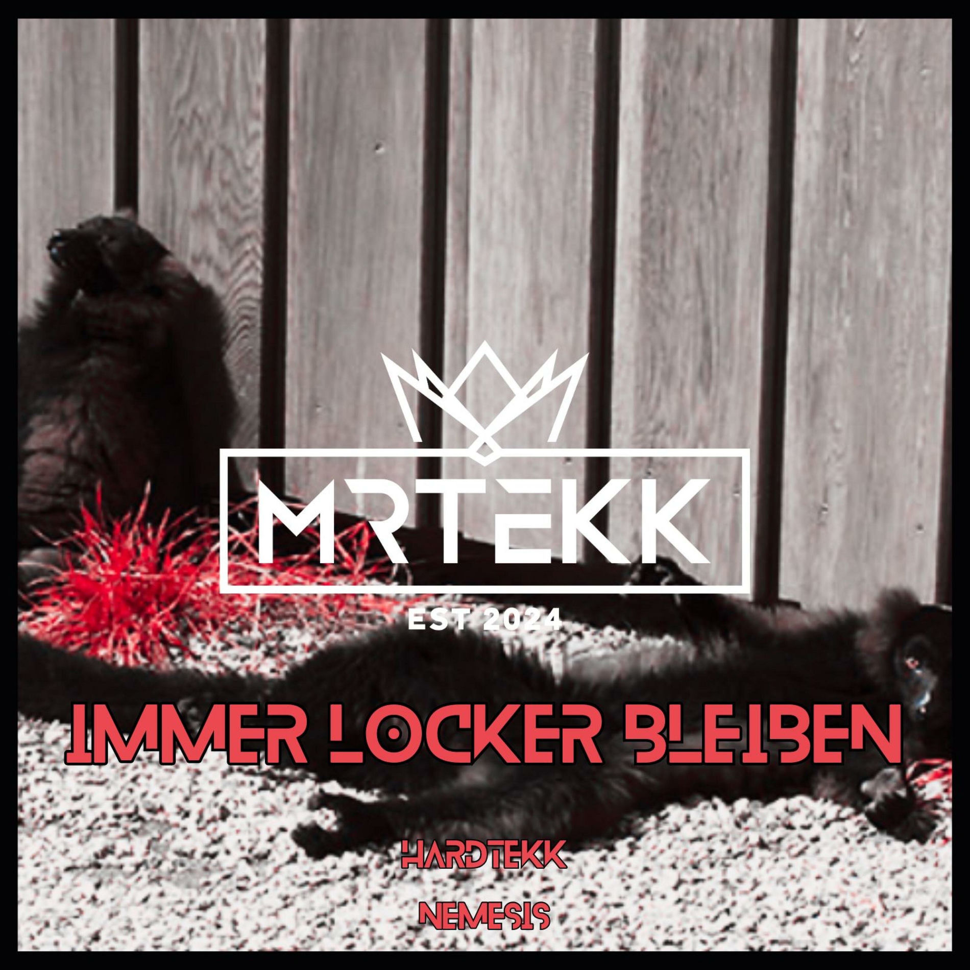Album cover of Immer locker bleiben [Hardtekk] (feat. TEKKISLOVE)