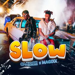 Cover of Slow