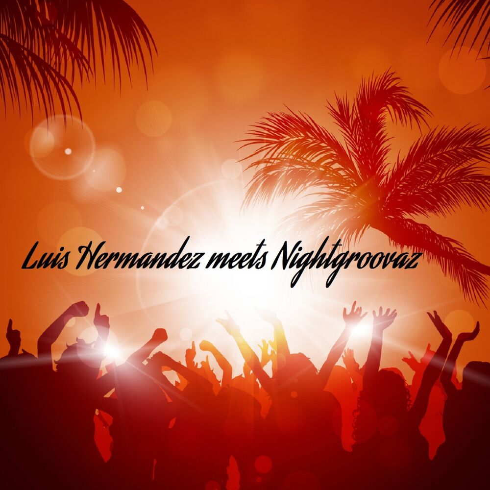 Picture of Luis Hermandez Meets Nightgroovaz