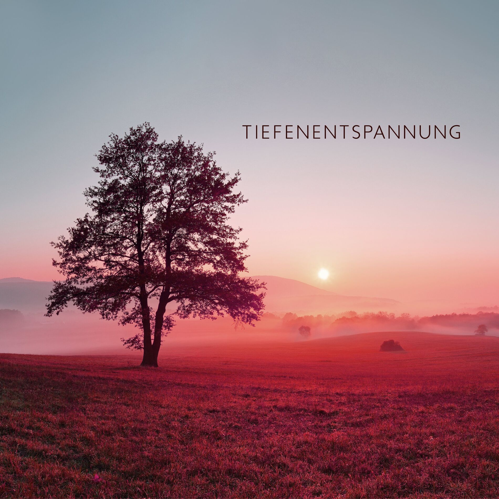 Album cover of Tiefenentspannung