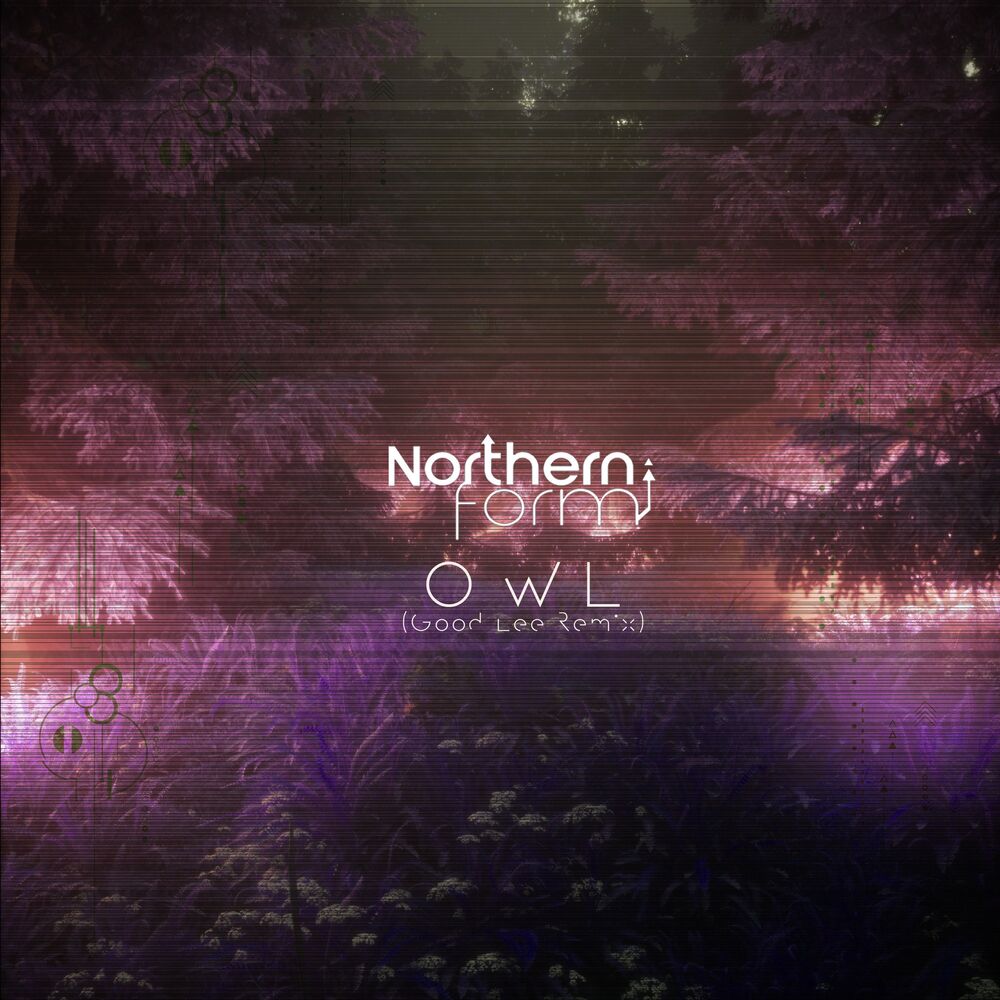 Picture of Owl (Good Lee Remix)