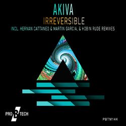 Cover of Irreversible