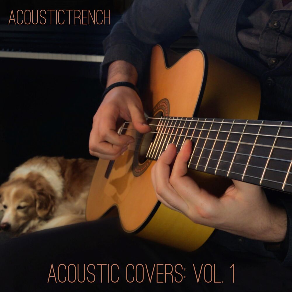 Picture of Acoustic Covers, Vol. 1