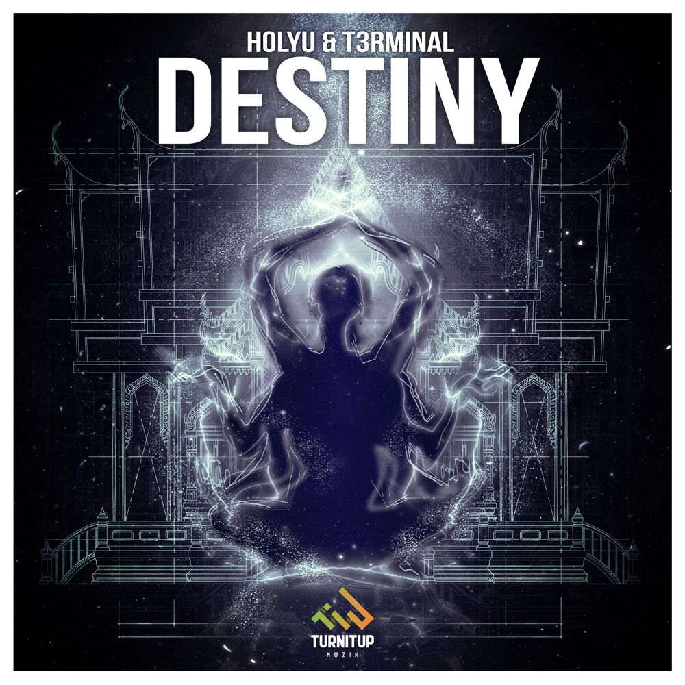 Picture of Destiny (Original Mix)