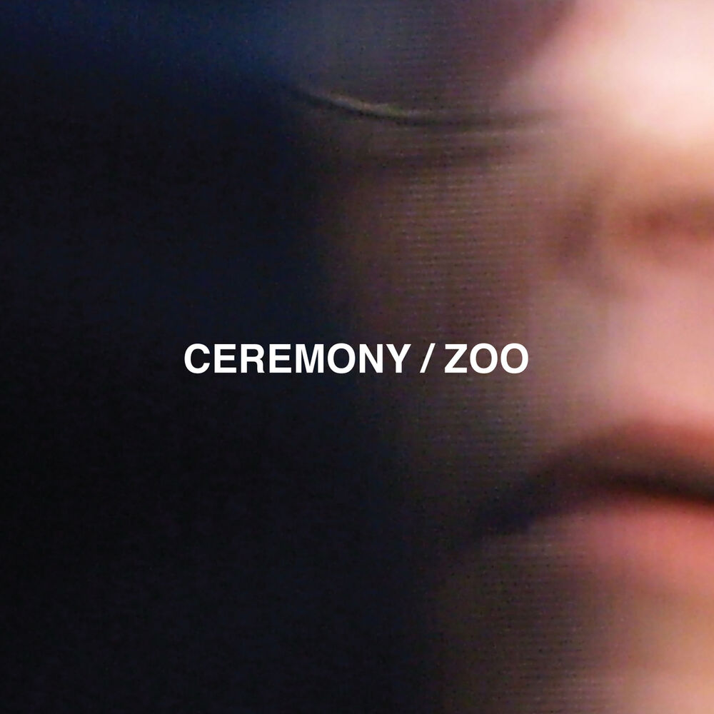 Picture of Zoo