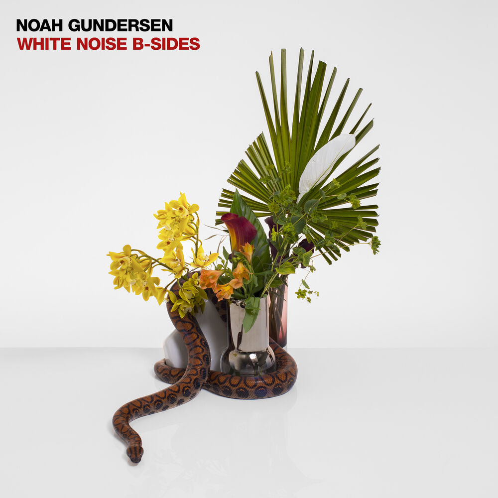 Picture of WHITE NOISE B-SIDES