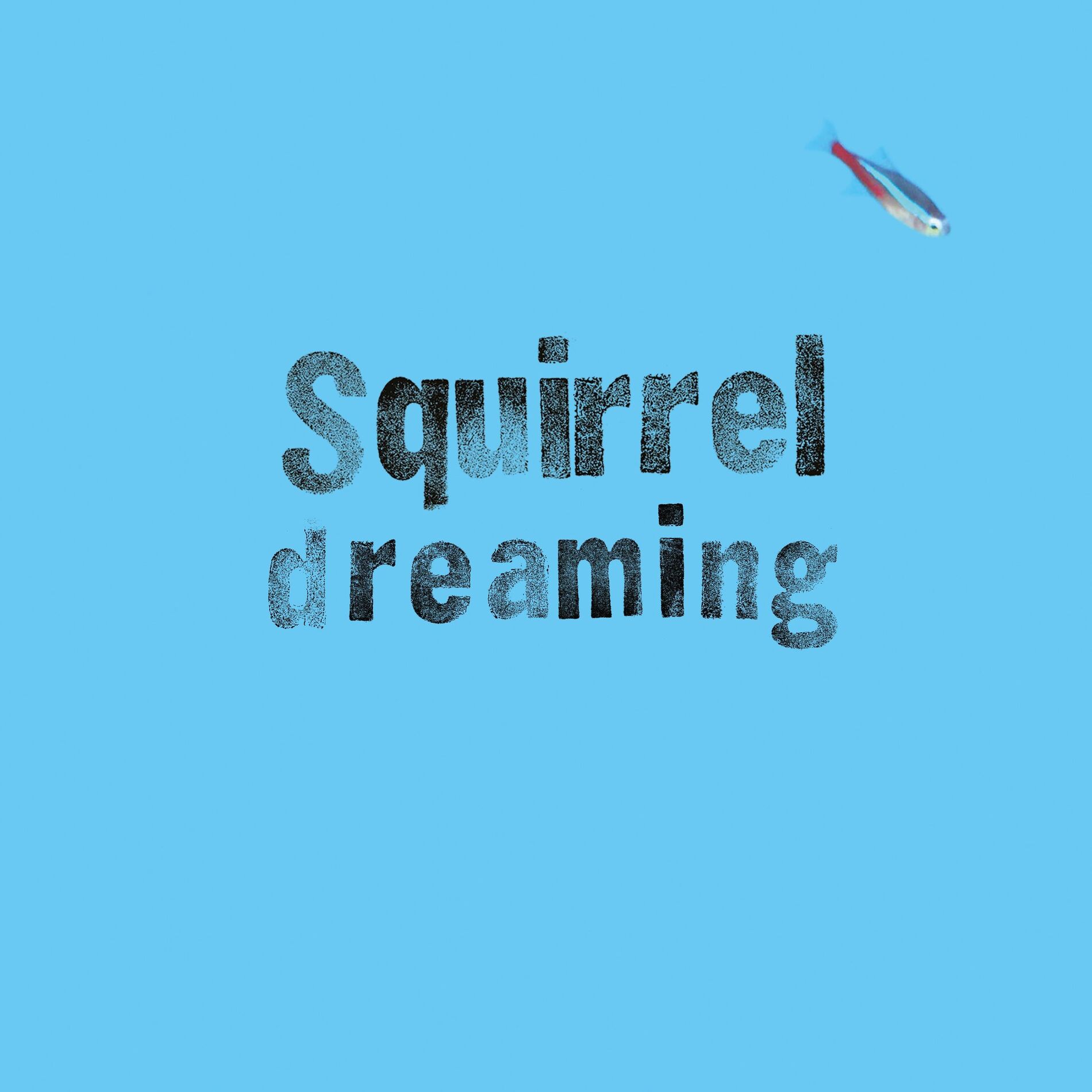 Album cover of Dreaming