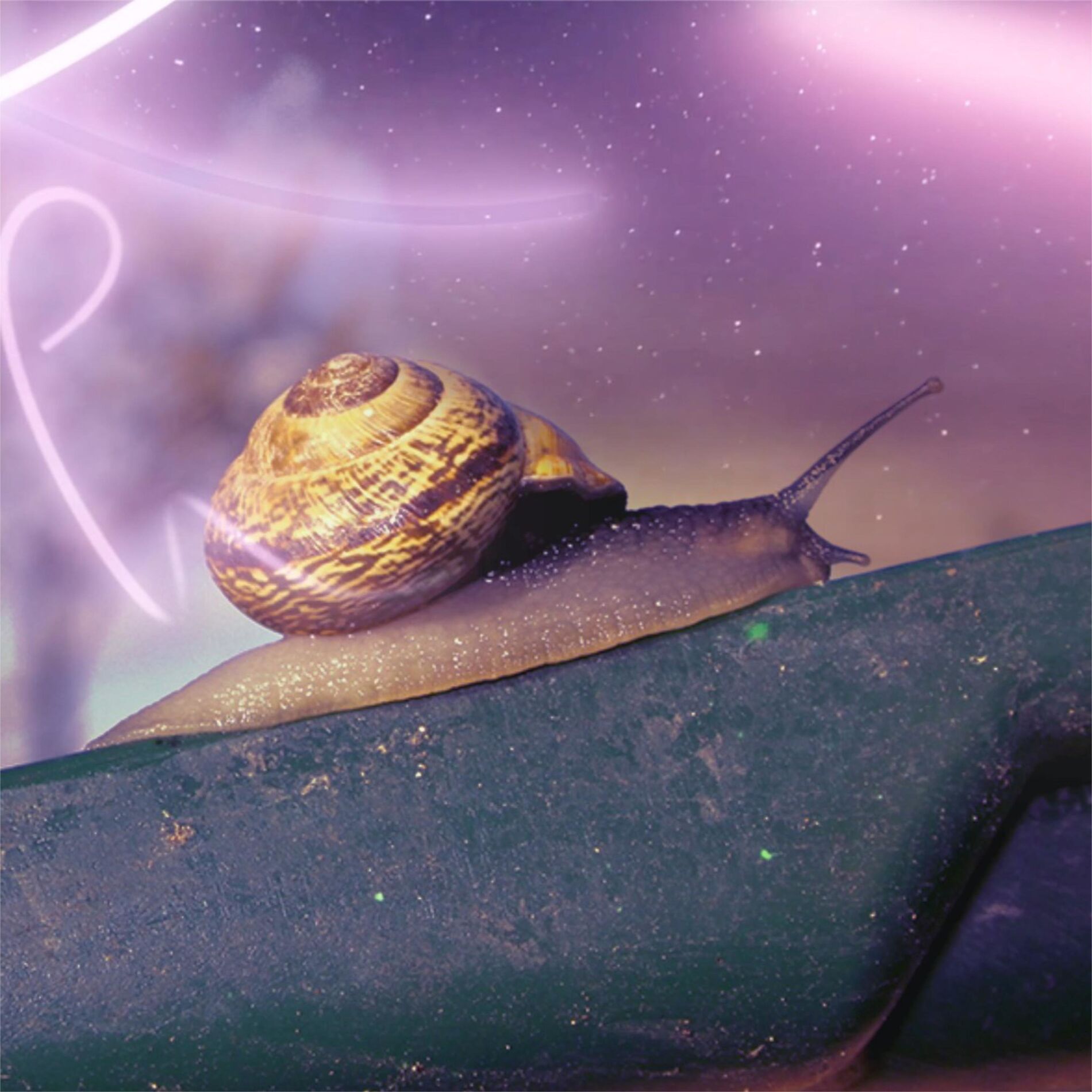 Album cover of Slow Ravers