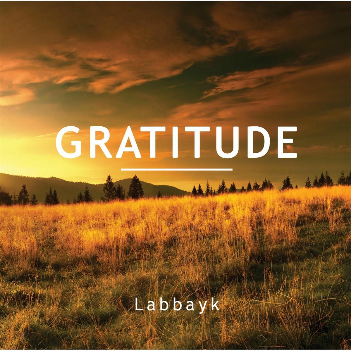 Album cover of Gratitude