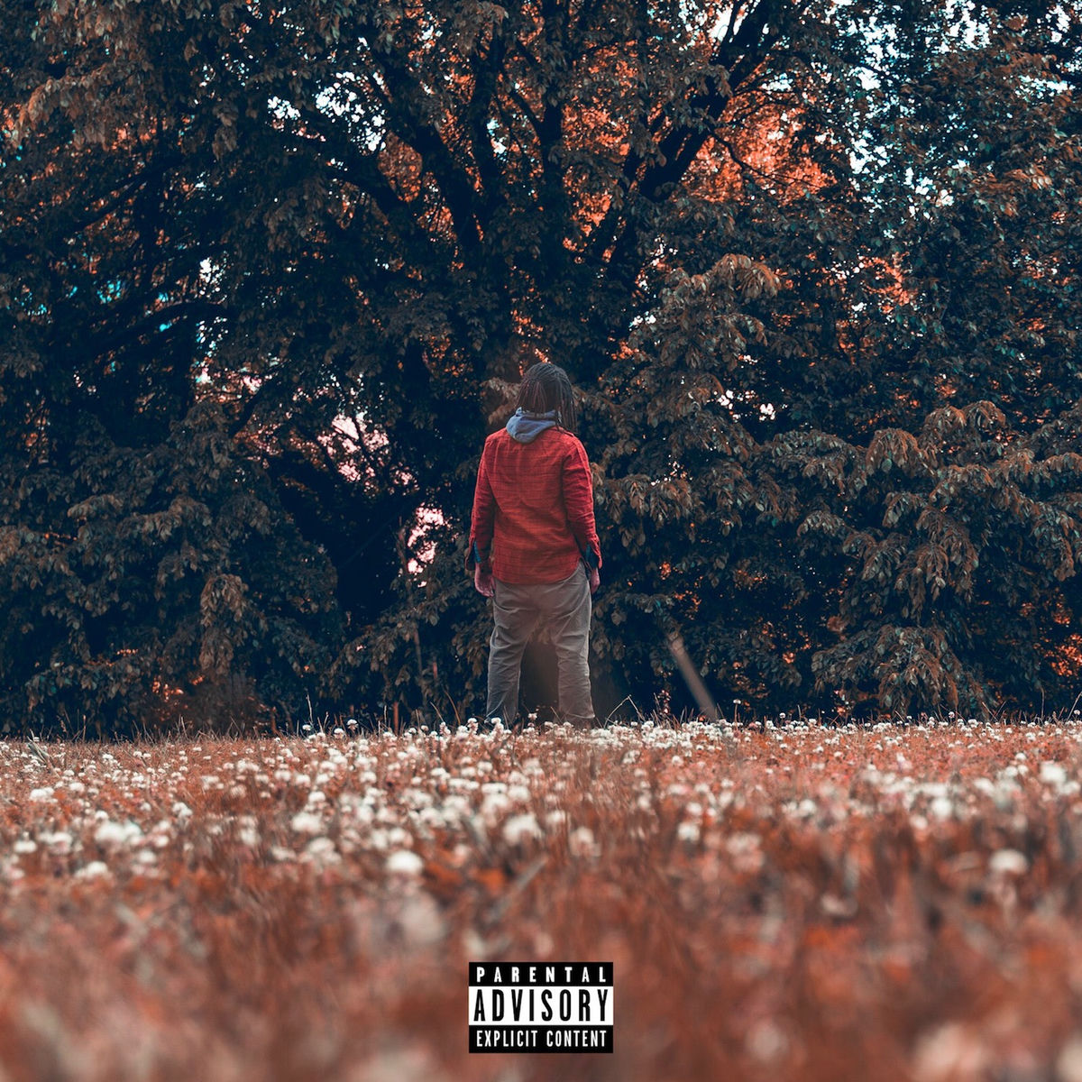 Album cover of Time Will Tell