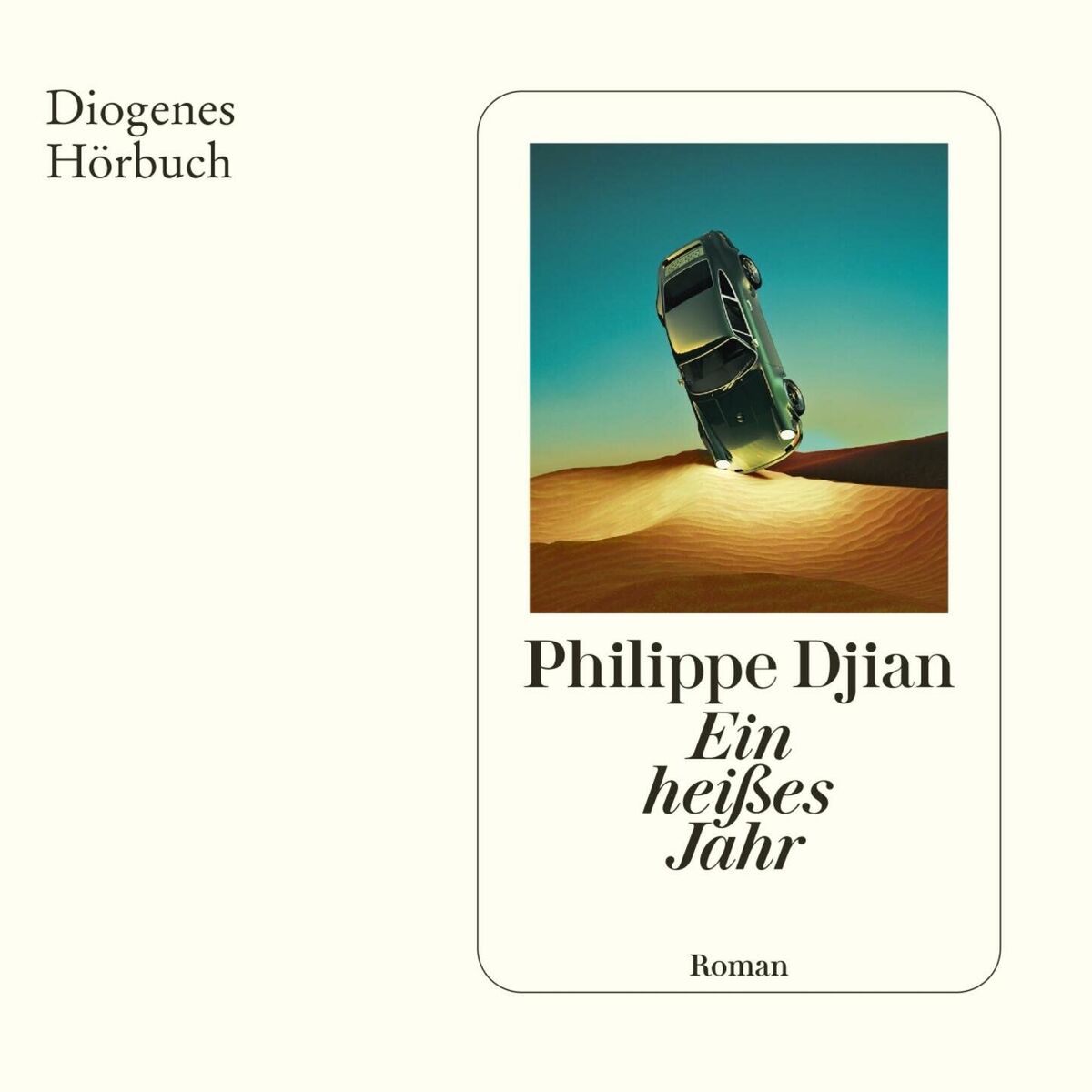 Album cover of Ein heißes Jahr (Ungekürzt)