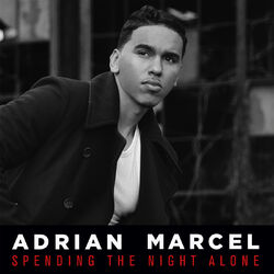 Cover of Spending The Night Alone