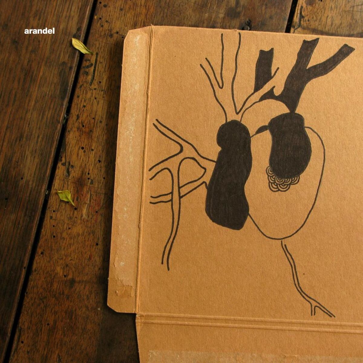 Album cover of In D#5