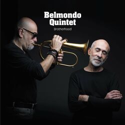 Cover of Brotherhood