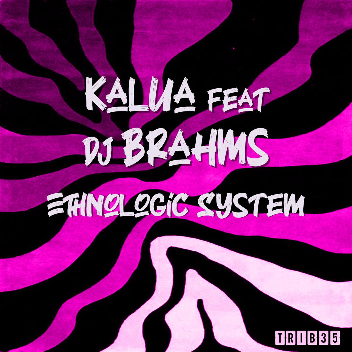 Album cover of Ethnologic System