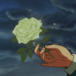Cover of Flowers