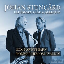 Cover of Som när ett barn kommer hem om kvällen