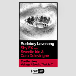 Cover of Rudeboy Lovesong (feat. Sweetie Irie and Cara Delevingne) (Remixes)