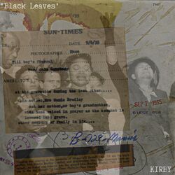 Cover of Black Leaves