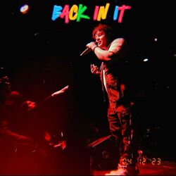 Cover of BACK IN IT