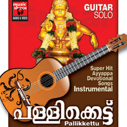 Cover of Pallikkettu