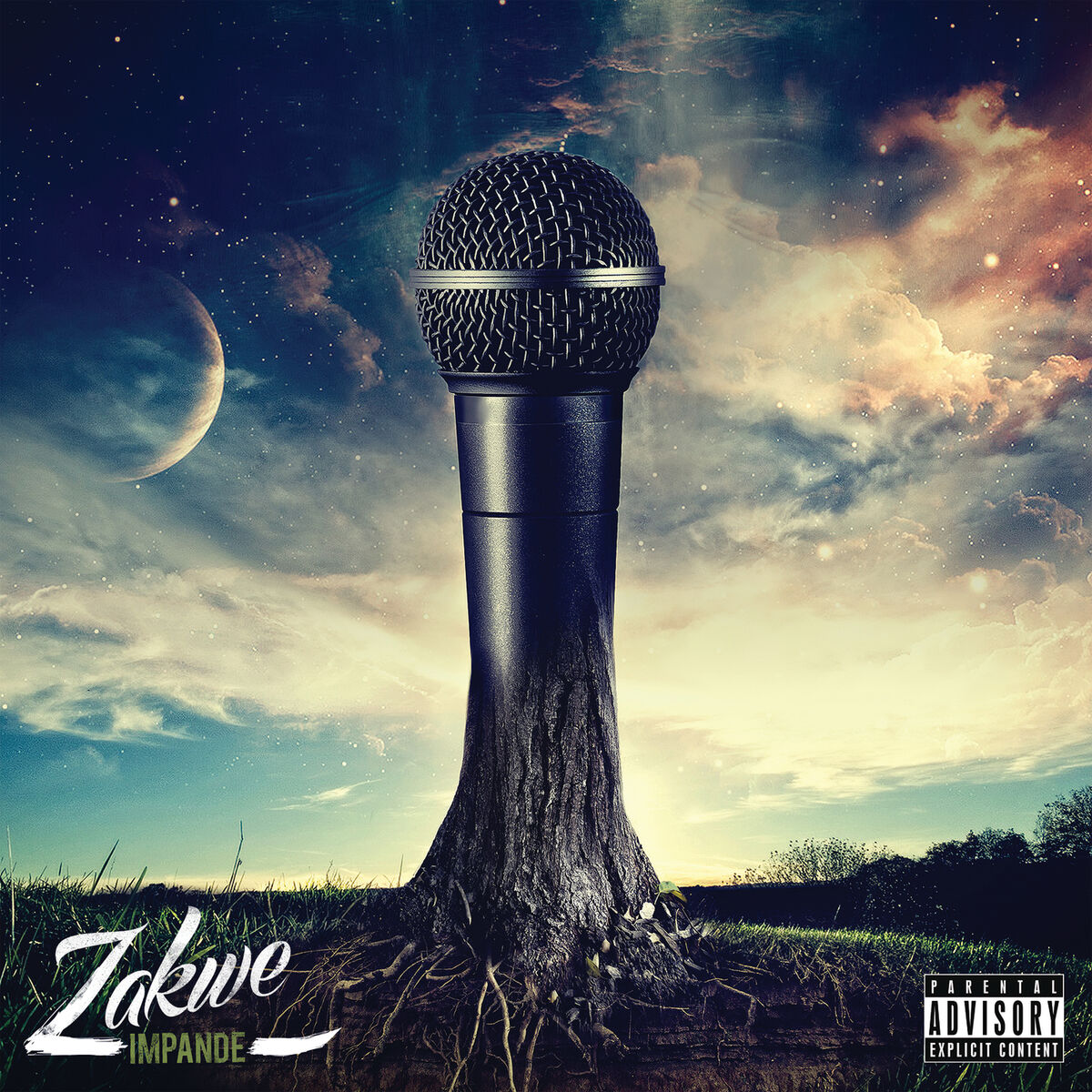Album cover of Impande