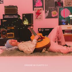 Cover of Ordené Mi Cuarto 2.0